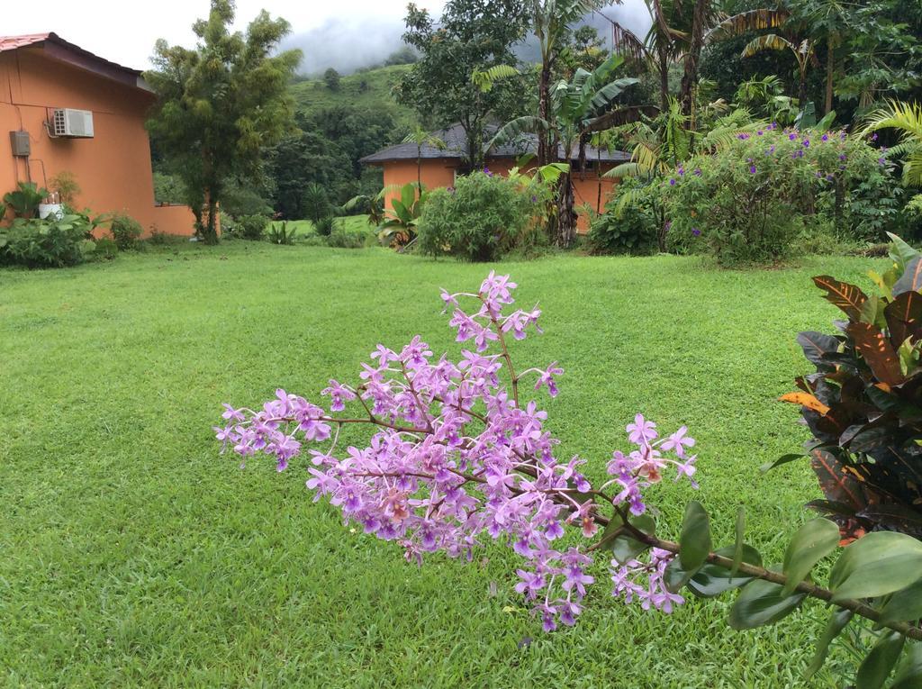 Cabinas Los Guayabos La Fortuna Exterior foto