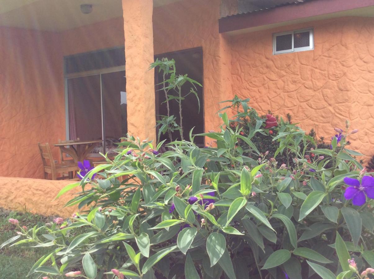 Cabinas Los Guayabos La Fortuna Exterior foto